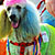 Pet Masquerade photo - Duval Street, Key West